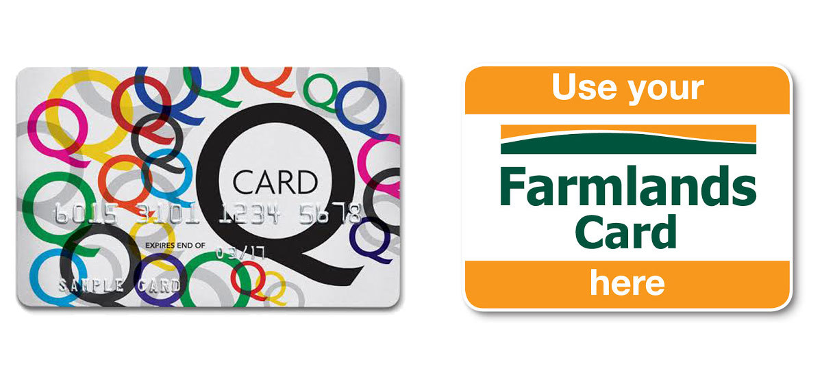 Vehicle repair Tauranga, car service cost, wheel alignment